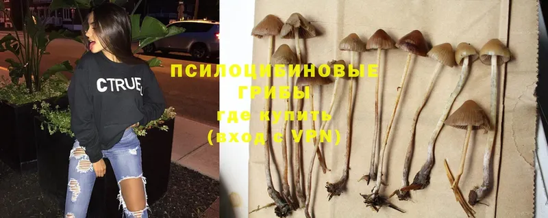 кракен   Рыбное  Псилоцибиновые грибы MAGIC MUSHROOMS 